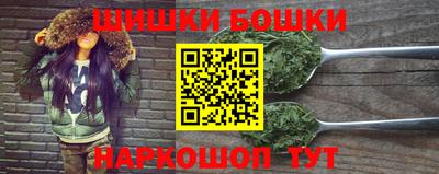 шишки Аргун