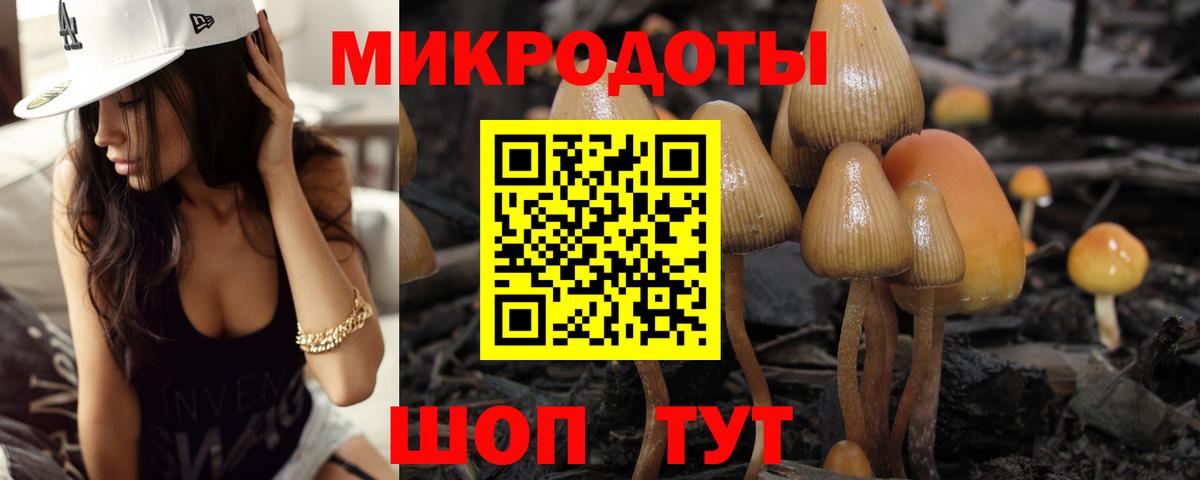 Галлюциногенные грибы Psilocybine cubensis Вязьма